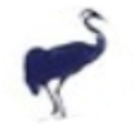 Craneswater Junior School logo