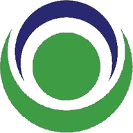 New Vision International School logo