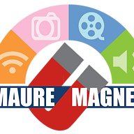 Ps 55 Maure logo